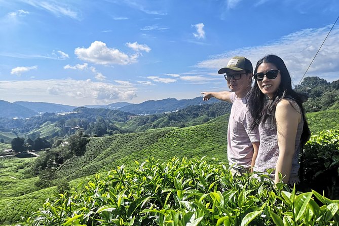 Cameron Highland Best Tour From Ipoh (Private Day Trip) - Inclusions
