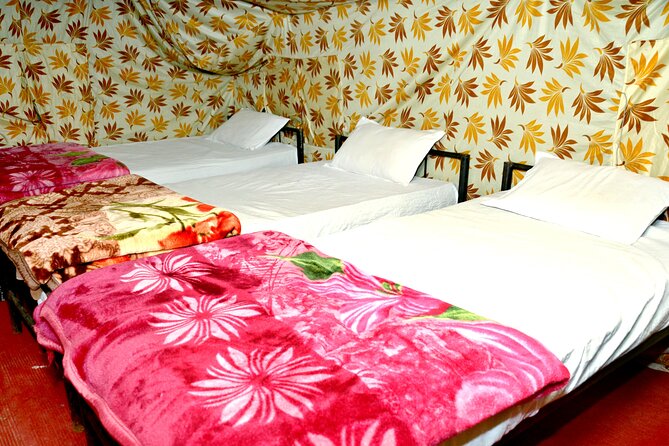 Camping in Rishikesh - 1N 2D - Accommodation and Amenities