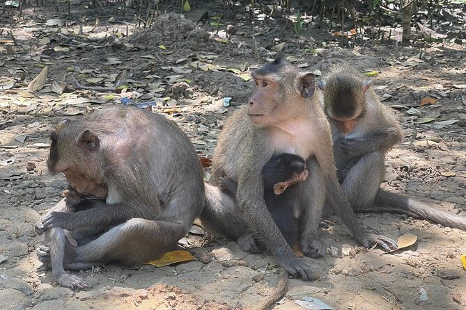 Can Gio Mangroves - Monkey Island by Motorbike and Scooter - Meeting and Pickup Details