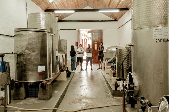 Canarian Wine Experience at Bodega Los Lirios - Guided by Yurena