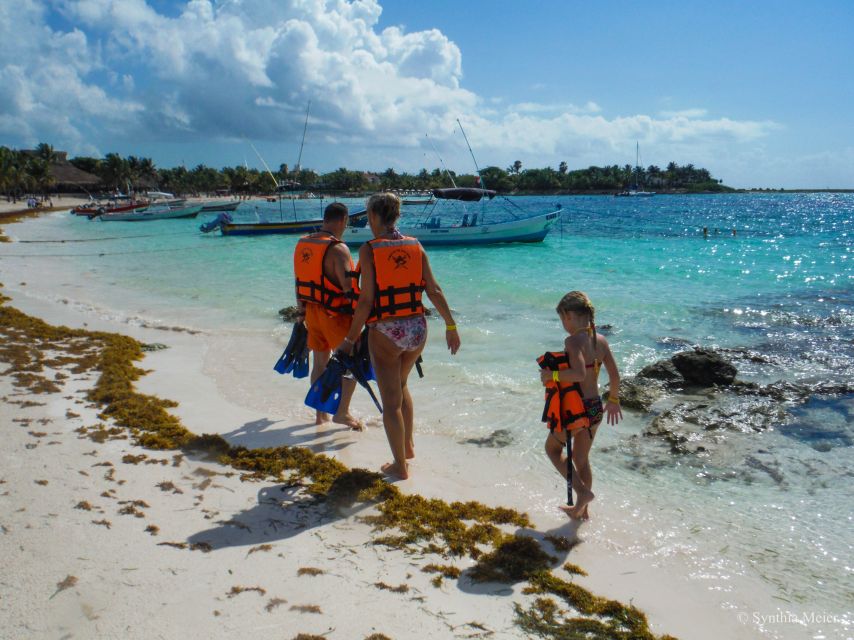 Cancun: Marine Turtle Observation in Akumal - Observing Marine Turtles in Akumal