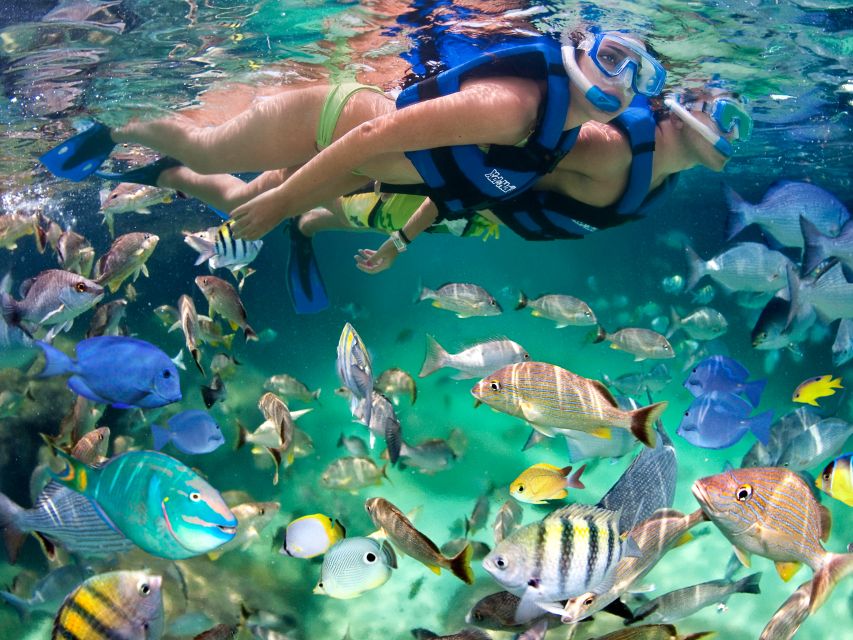 Cancún & Riviera Maya: Combo Xel-Ha & Xplor With Transport - Diving Into Xel-Ha Activities