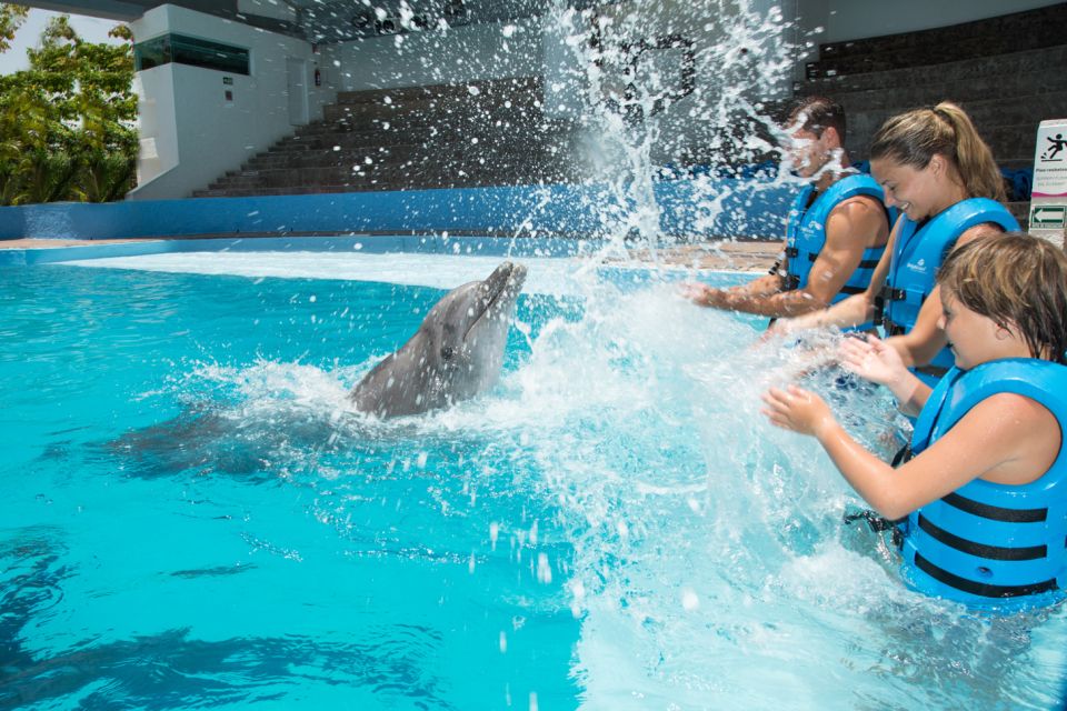 Cancún: Swim With Dolphins at Interactive Aquarium Cancún - Dolphin Interaction Highlights