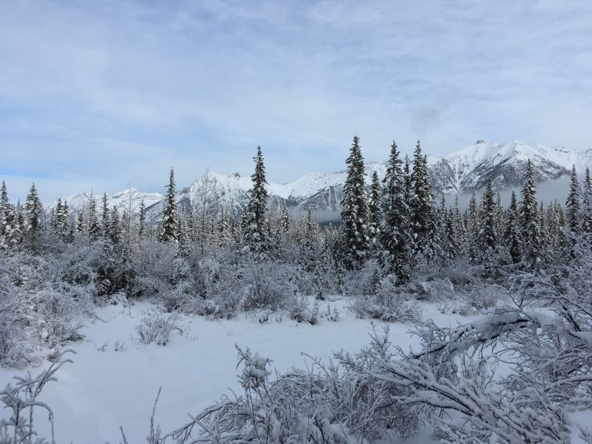 Canmore: Wilderness and Wildlife - Hiking Tours - Highlights