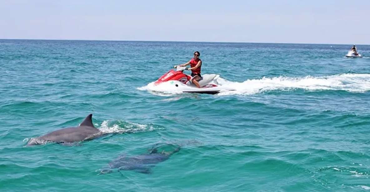 Cape Coral and Fort Myers: Wild Life Jet Ski Tour - Highlights of the Experience