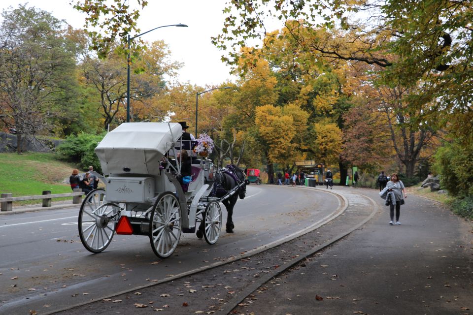 Carriage Ride To/From Tavern on the Green (Up to 4 Adults) - Availability and Features