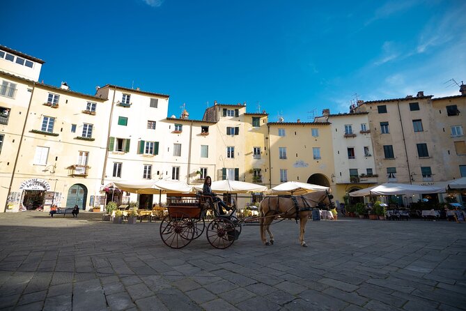 Carriage Tour in the Historic Center of Lucca - Logistics