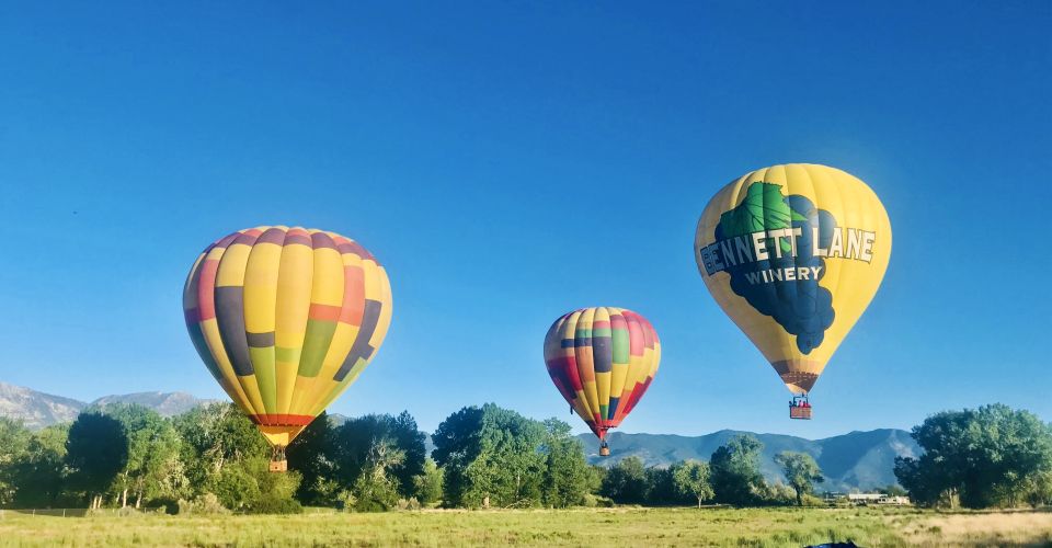 Carson City: Hot Air Balloon Flight - Breathtaking Scenery and Wildlife Observation