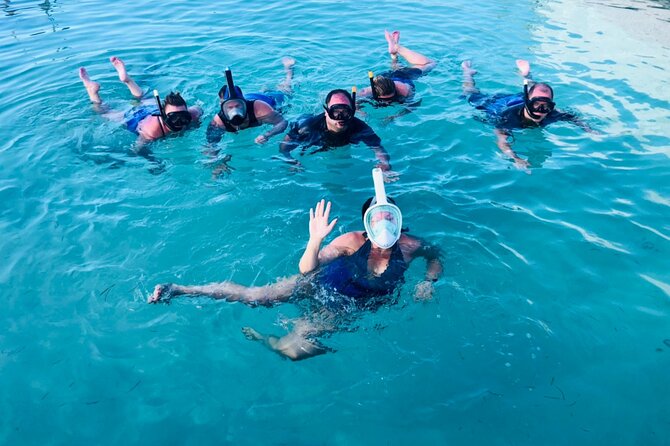 Catamaran Party Boat Half Day Trip With Snorkeling and Natural Pool - Accessibility Features