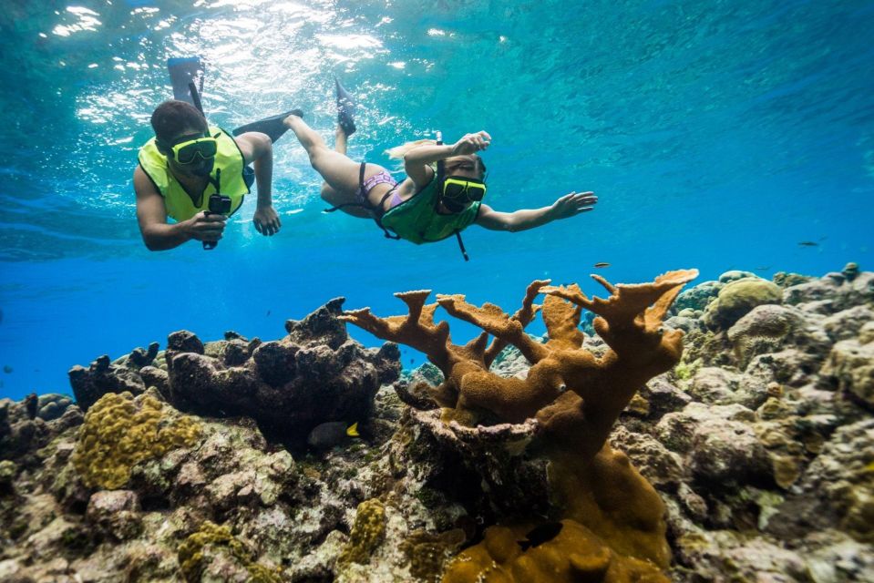 Catamaran Party Cruise and Snorkeling From Montego Bay - Snorkeling at Doctors Cave Beach