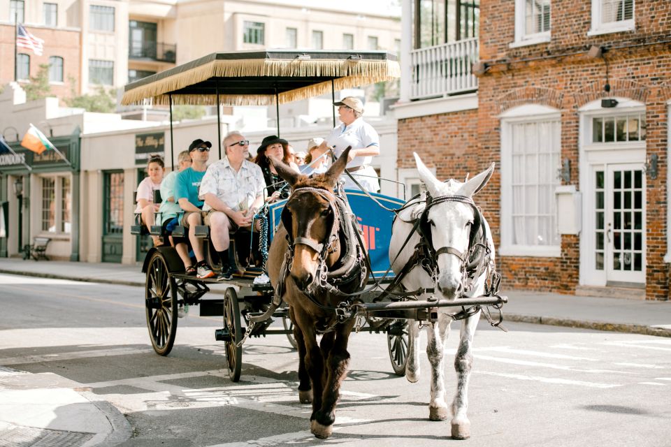 Charleston: 1-Hour Carriage Tour of the Historic District - Highlights of the Tour