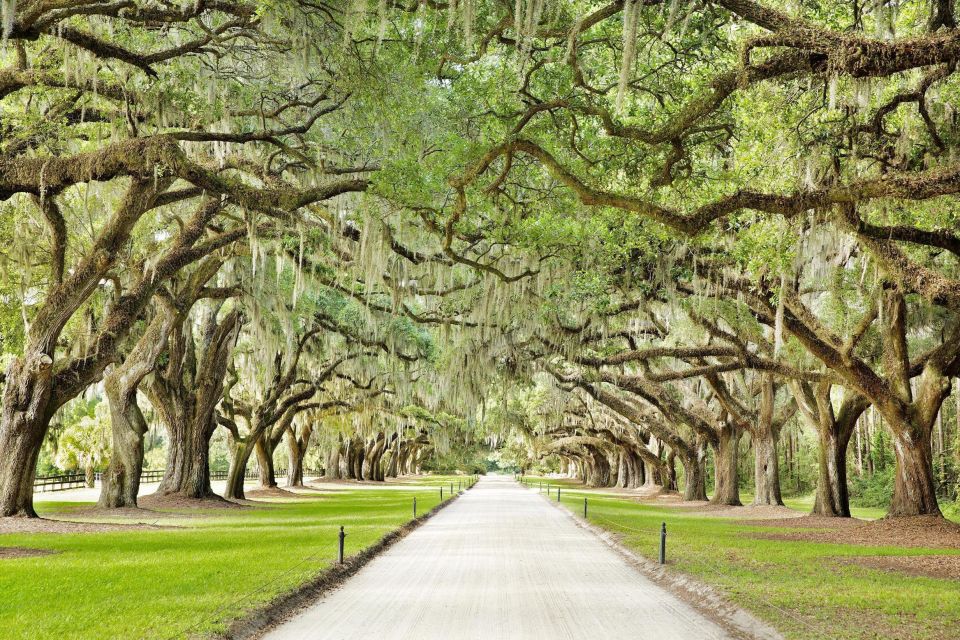 Charleston: Tour Pass With 40+ Attractions - Pass Options