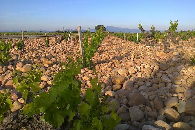 Chateauneuf-Du-Pape Prestige Wine Tour From Avignon - Logistical Details