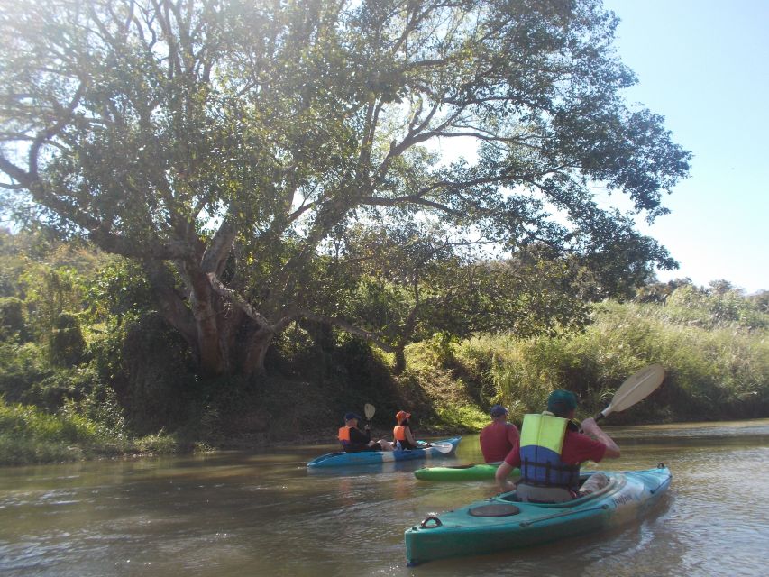 Chiang Mai: 15 Km Leisure River Kayaking at Mae Ngat Forest - Guided by Professional Kayaking Experts