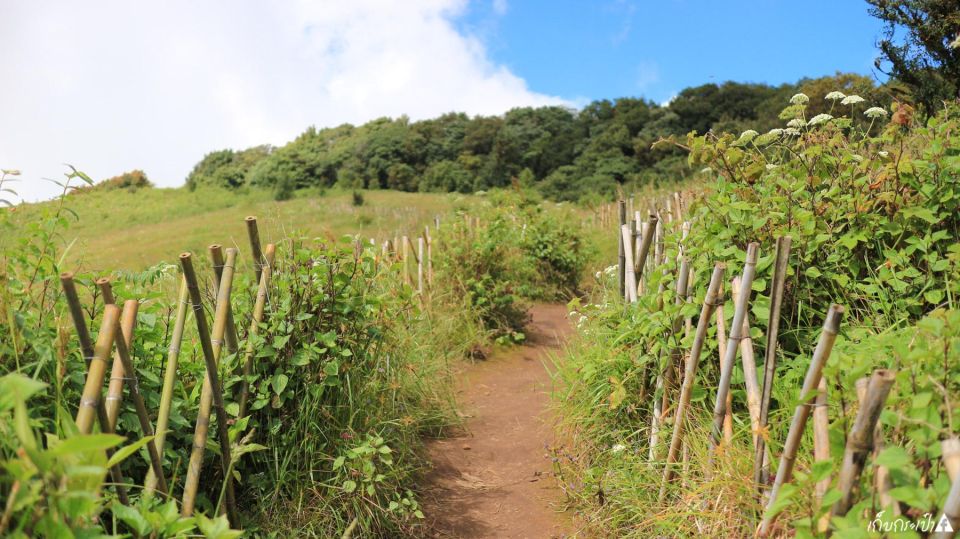 Chiang Mai: Doi Inthanon Park Day Trip With Kiw Mae Pan Hike - Inclusions