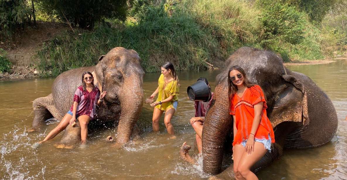 Chiang Mai: Elephant Sanctuary and Sticky Waterfall Tour - Pickup and Tour Guide