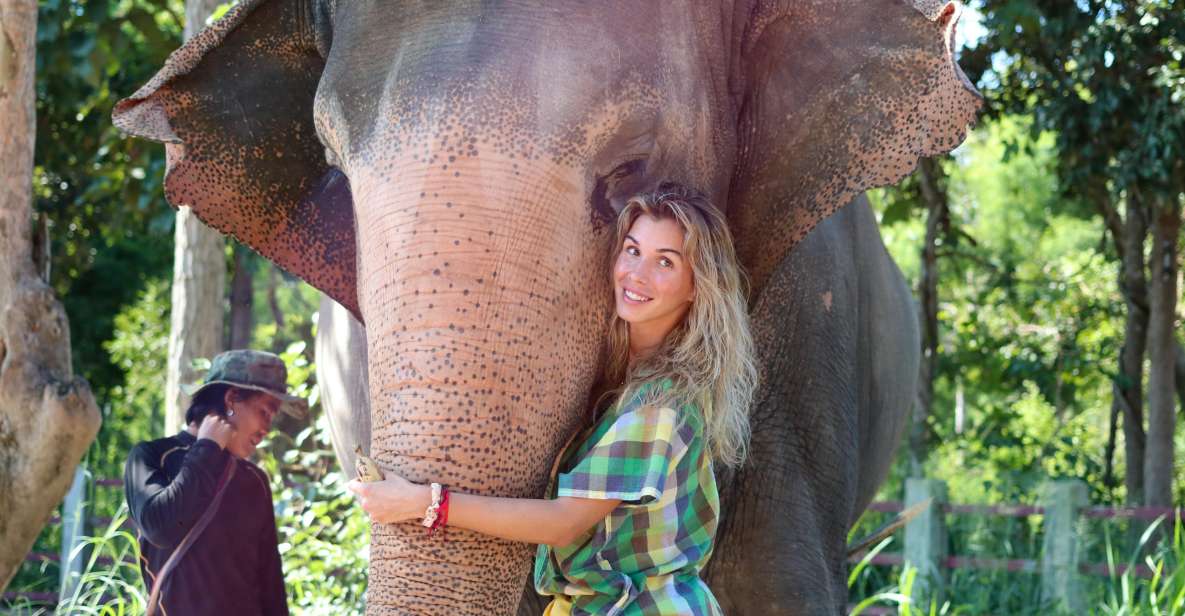 Chiang Mai: Elephant Sanctuary Guided Tour in English - Elephant Interaction Activities