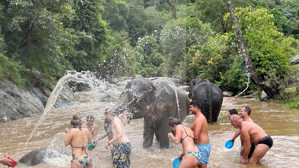 Chiang Mai: Elephant Sanctuary & Waterfall Group Tour - Preparing Elephant Snacks