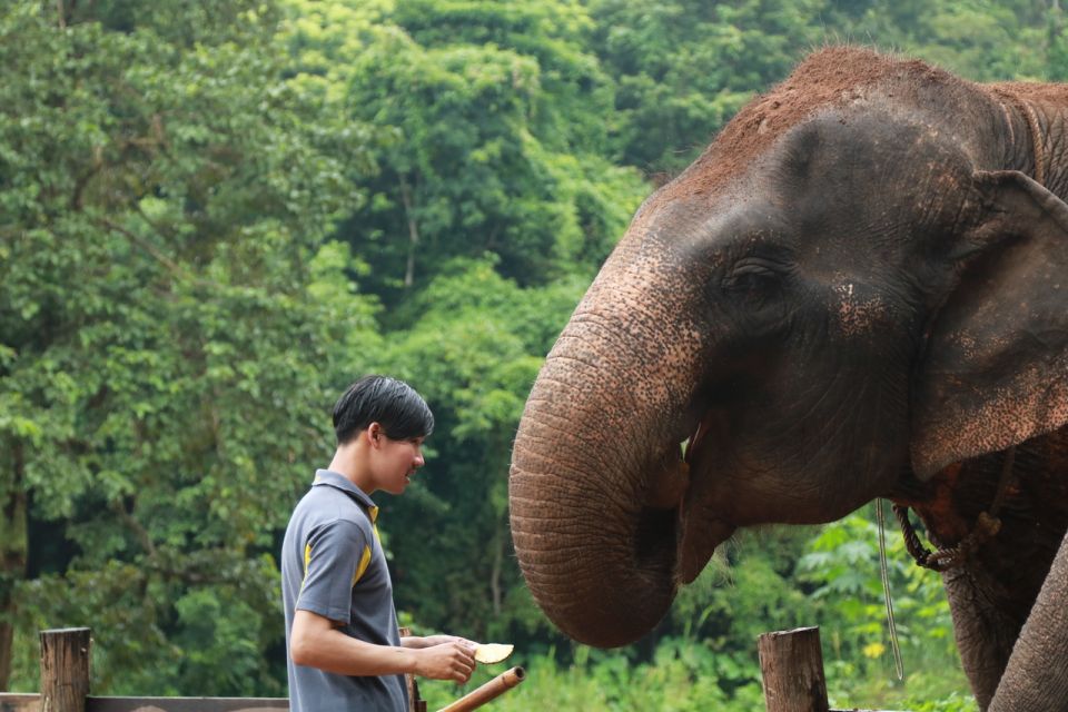 Chiang Mai: Explore Forests to Waterfalls and Water Rafting - Itinerary