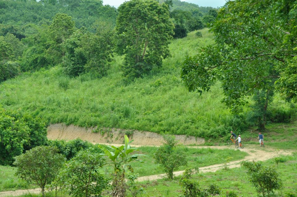 Chiang Mai Fields of Gold Cycling Tour - Highlights