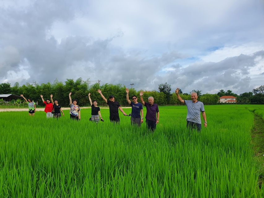 Chiang Mai: Full-Day Yoga & Meditation Experience With Lunch - Morning Meditation and Yoga