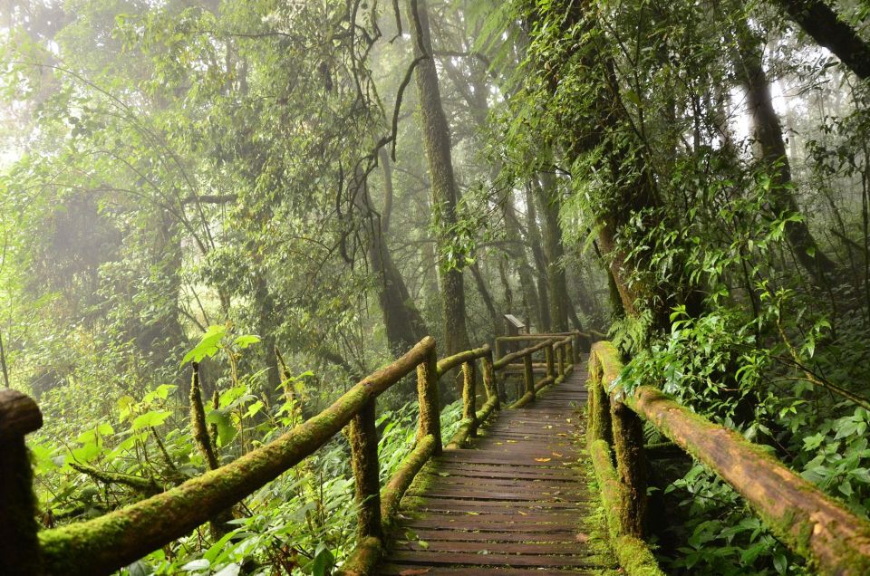 Chiang Mai: Pha Dok Siew Nature Trail & Doi Inthanon Trip - Included in the Tour