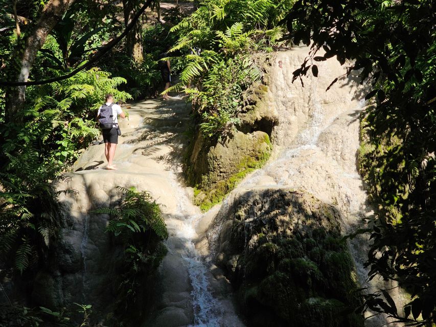 Chiang Mai: Sticky Waterfall Half-Day Tour & Hotel Transfers - Highlights of the Sticky Waterfall