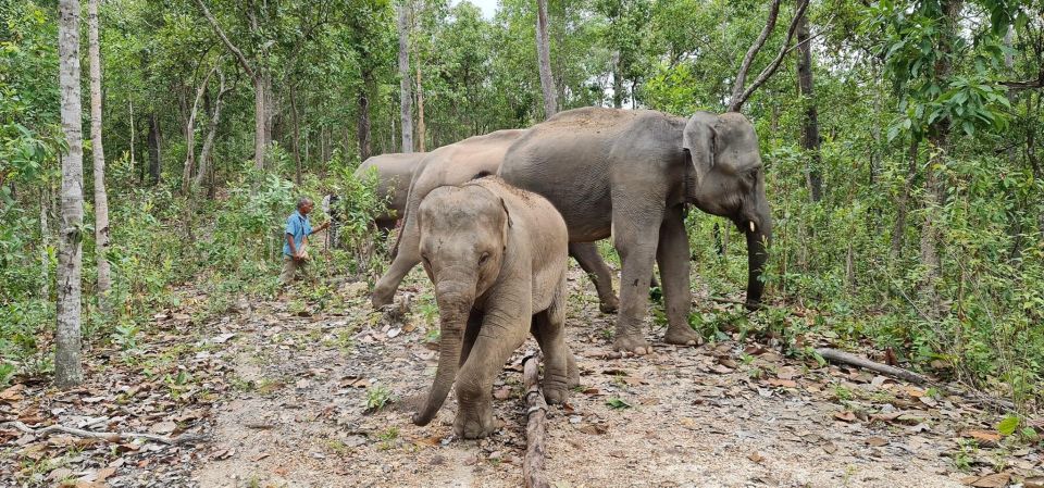 Chiang Mai: Waterfall, Elephant Sanctuary, and Rafting Tour - Explore the Waterfalls