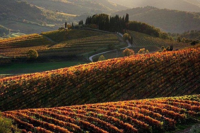 Chianti Half-Day Wine Tour in the Tuscans Hills From Pisa - Meeting Point and Pickup Details