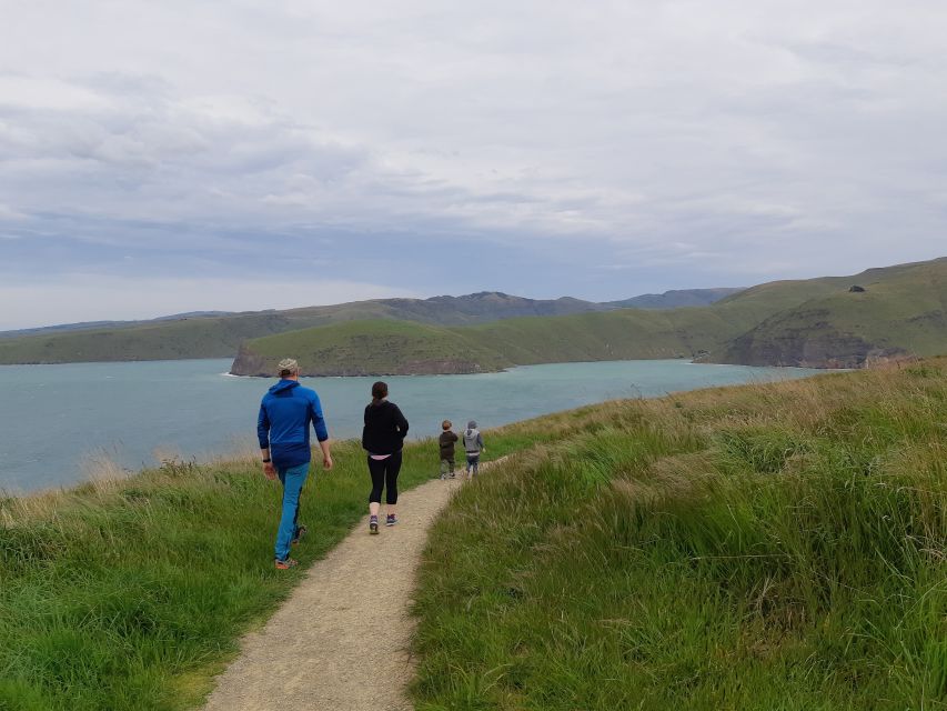 Christchurch: Godley Head & Lyttelton Guided Walking Tour - Itinerary