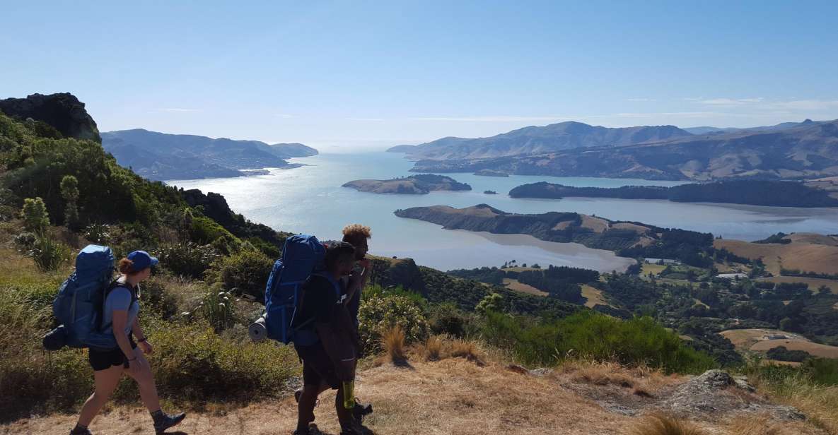 Christchurch: Packhorse Hut Guided Walk and Scenic Drive - Itinerary Highlights