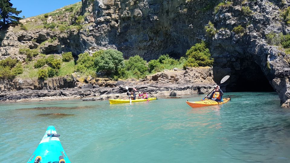 Christchurch: Sea Kayaking Tour of Lyttelton Harbour - Itinerary Highlights