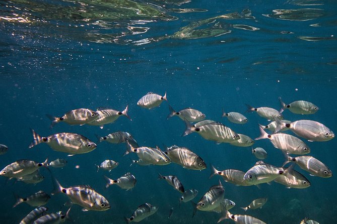 Cinque Terre Private Boat Tour - Meeting and Pickup Details