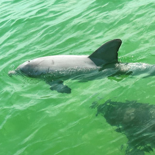 Clearwater Beach Private Pontoon Tours - Reservation Details