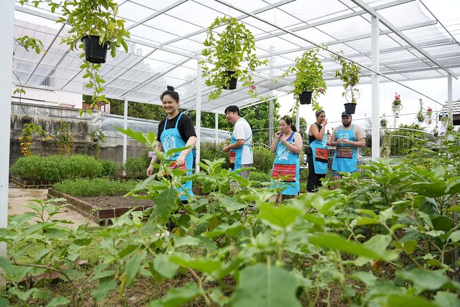 Cooking Class With Organic Farm in Chiang Mai at Mama Noi - Market and Organic Farm Visit