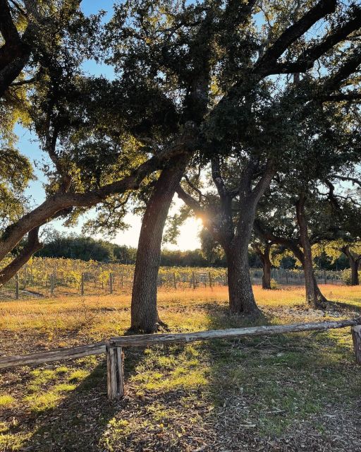 Cost-Effective Texas Hill Country Wine and Brewery Tour - Customized Winery and Brewery Choices