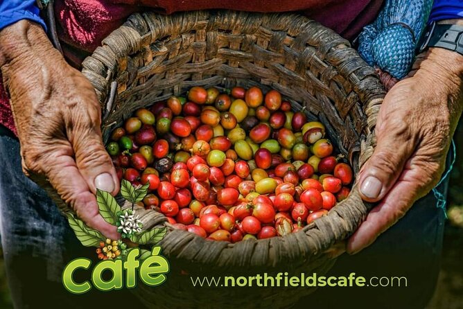 Costa Rican Coffee and Chocolate Crafting Experience: North Fields Cafe - Tour Highlights