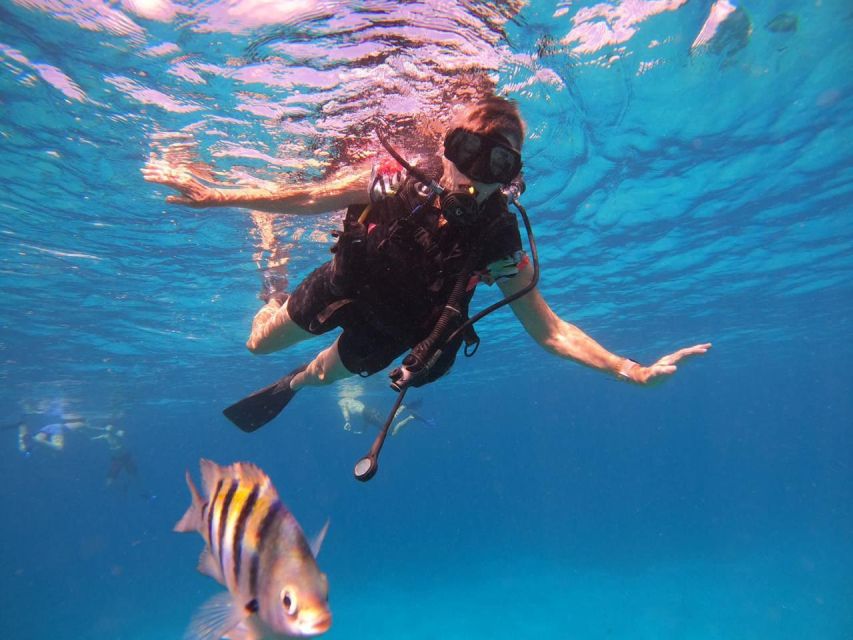 Cozumel: Snorkeling Trip to 3 Reefs by Boat - Itinerary and Locations Visited