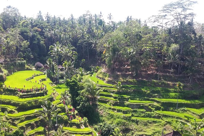 Cretya Ubud + Taman Dedari + Sari Timbul Glass Factory Tour. - Pickup Information