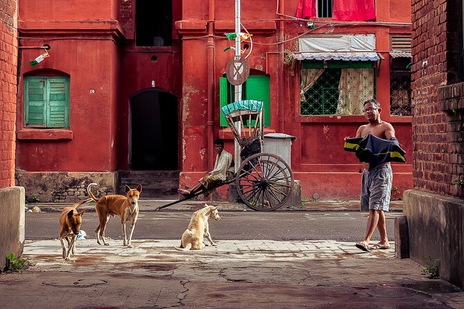 Cultural Confluence of Kolkata - Culture Kaleidoscope Tour - Diverse Religious Landmarks