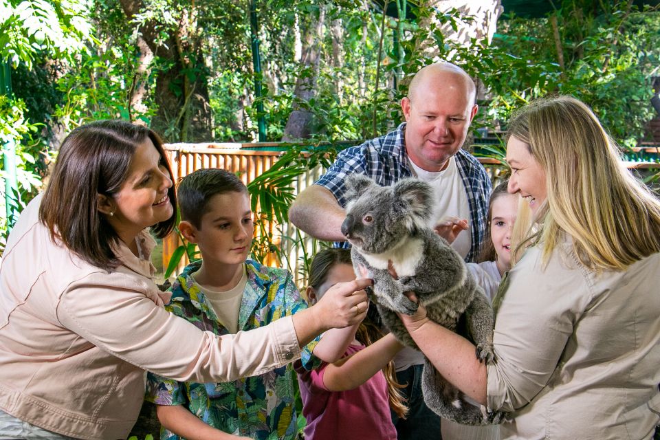 Currumbin Wildlife Sanctuary Ticket & Koala Photo - Accessibility and Validity Details