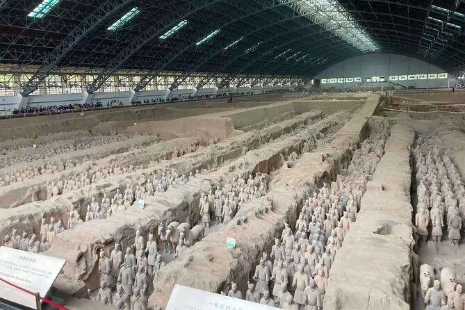 Customized Day Tour to Terracotta Army and Horses Museum - Pickup and Drop-off