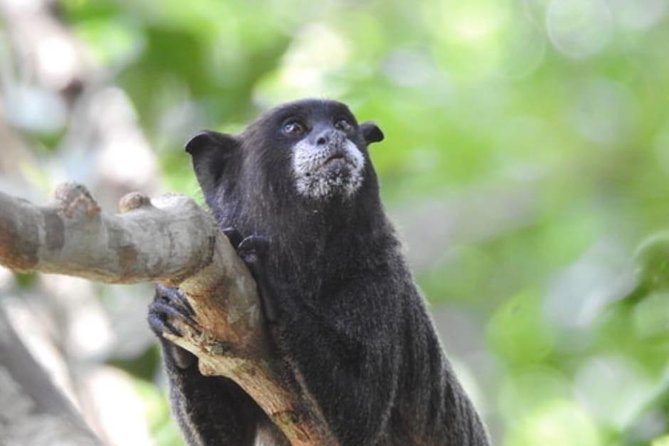 Cuyabeno Tucan Lodge - Activities and Experiences Offered