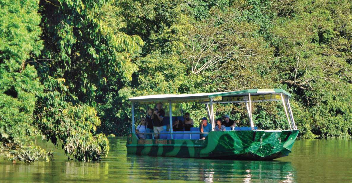 Daintree: Lower Daintree Crocodile & Wildlife Cruise - Experience Highlights