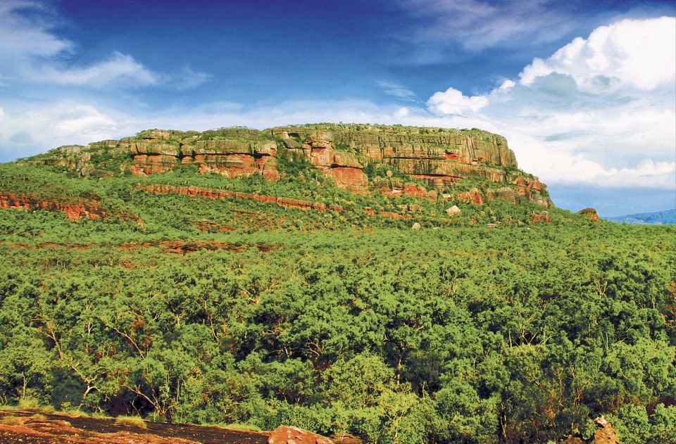 Darwin: Kakadu & Nourlangie Day Trip Plus Billabong Cruise - Activity Details