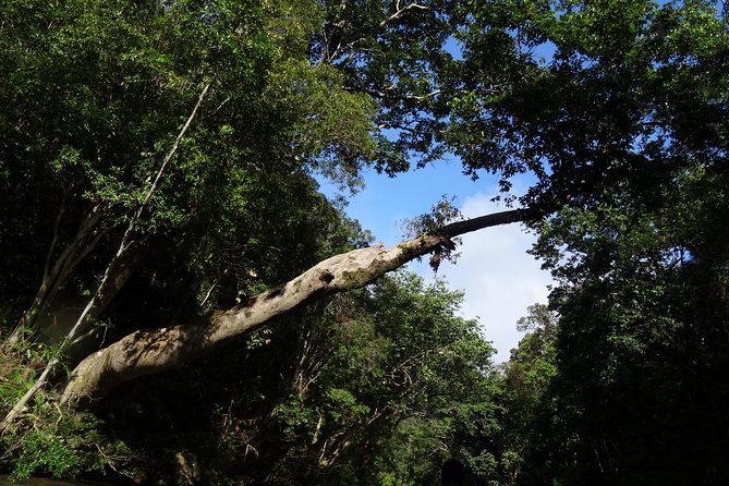 Day Tour Aborigine Village @ Rainforest Taman Negara + Batu Caves - Thrilling River Shooting (Rapids)