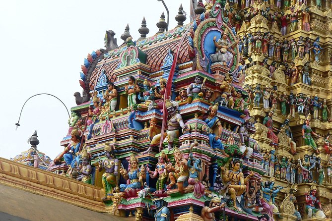 Day Tour to Sigiriya & Dambulla From Kandy by Aaliya Tours - Logistics