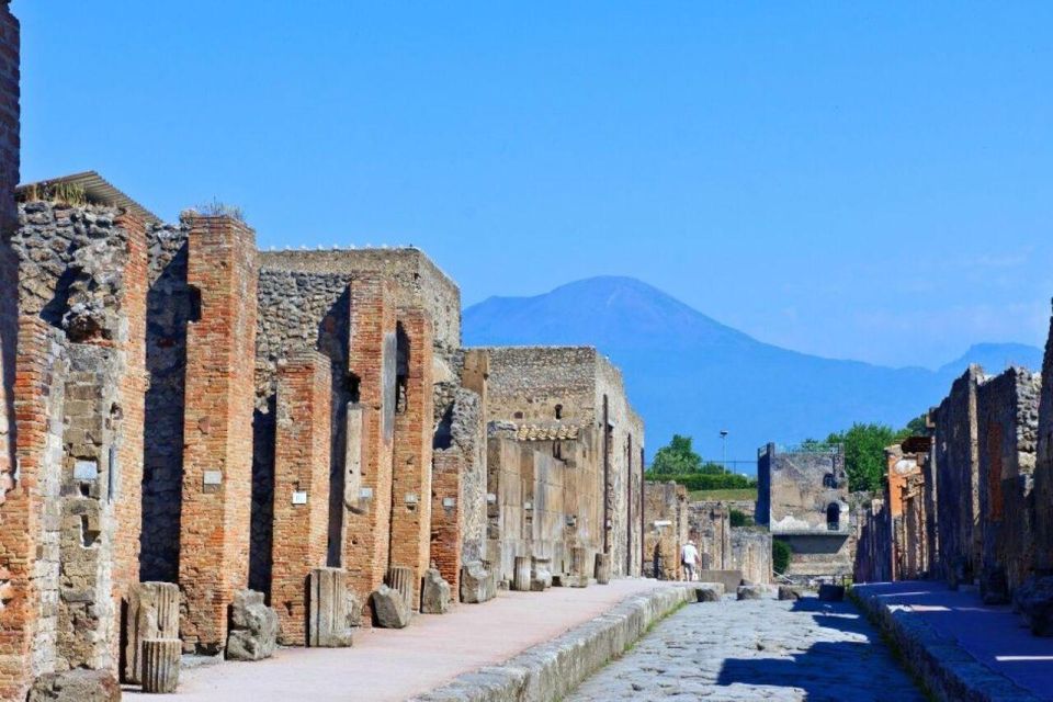 Day Trip From Rome to Pompeii - Booking Information