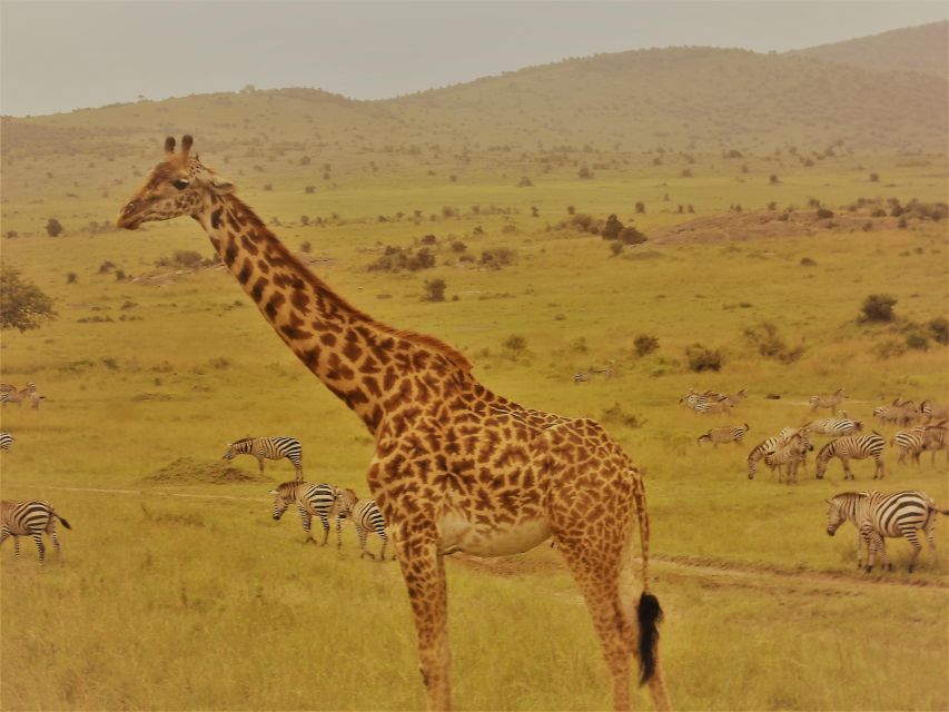 Day Trip to Hells Gate and Lake Naivasha - Exploring Hells Gate Park