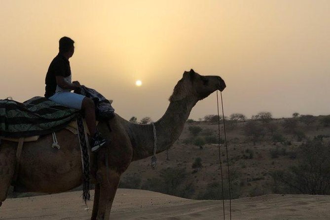 Desert Camel Safari Day Tour In Jodhpur - Included in Tour